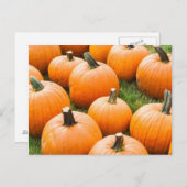Pumpkins für den Verkauf auf einem Bauernmarkt Postkarte (Vorne/Hinten)
