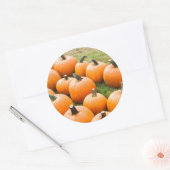 Pumpkins für den Verkauf auf einem Bauernmarkt Runder Aufkleber (Umschlag)