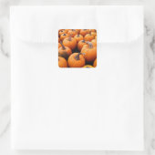 Pumpkins Galore Quadratischer Aufkleber (Tasche)