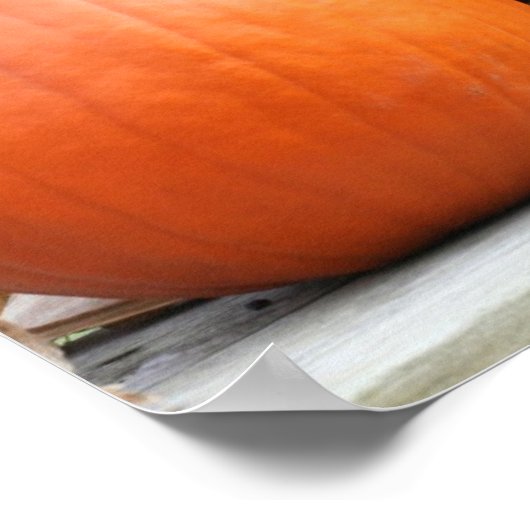 Pumpkins Getrocknete Maisstähle Mirror Abstrakt Poster (Ecke)