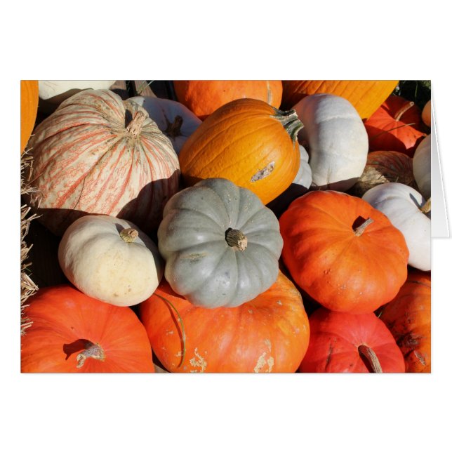 Pumpkins Grußkarte (Vorderseite (Horizontal))