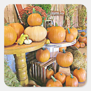 Pumpkins Halloween Herbst Standhalter Quadratischer Aufkleber