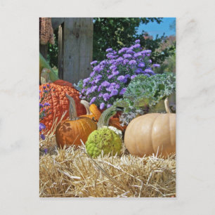 Pumpkins Herbst Purple Blumen Liebe Frieden Kunst Postkarte