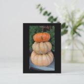 Pumpkins Herbstpostkarte Postkarte (Stehend Vorderseite)