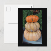 Pumpkins Herbstpostkarte Postkarte (Vorne/Hinten)