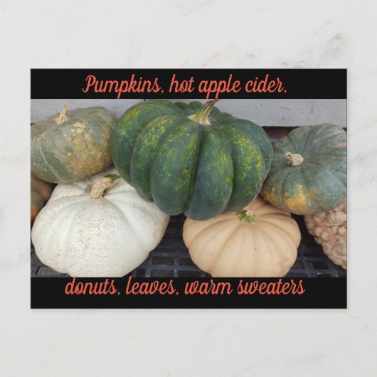 Pumpkins Herbstpostkarte Postkarte (Vorderseite)