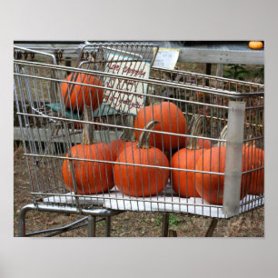 Pumpkins im Warenkorb Land Fall Poster