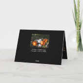 Pumpkins in Dappled Light Greeting Card Karte (Rückseite)