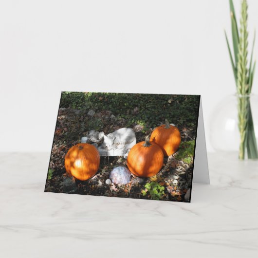 Pumpkins in Dappled Light Greeting Card Karte (Vorderseite)