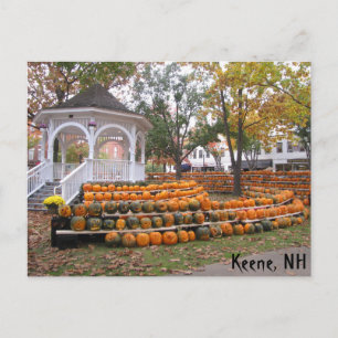 Pumpkins in Keene, NH Postkarte