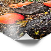Pumpkins in Quebec Fotodruck (Ecke)
