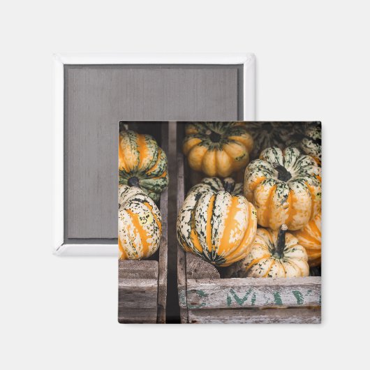 "PUMPKINS" LEBENSMITTELKÜHLSCHRANK MAGNET (Vorderseite/Rückseite)