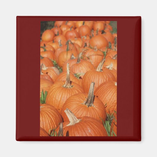 PUMPKINS! MAGNET (Vorne)