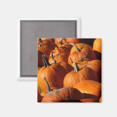 Pumpkins Magnet (Vorderseite/Rückseite)