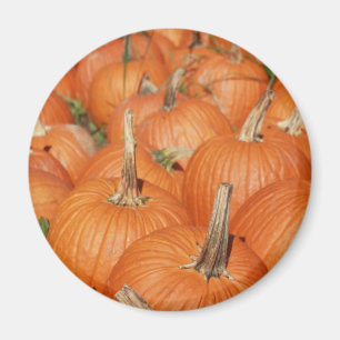 PUMPKINS! MAGNET