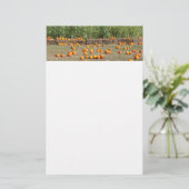 Pumpkins, Mais und Hay Herbst Erntefotografie Briefpapier (Stehend Vorderseite)