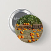Pumpkins, Mais und Hay Herbst Erntefotografie Button (Vorne & Hinten)
