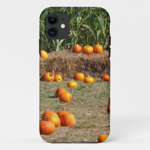 Pumpkins, Mais und Hay Herbst Erntefotografie Case-Mate iPhone Hülle