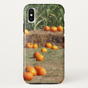 Pumpkins, Mais und Hay Herbst Erntefotografie Case-Mate iPhone Hülle