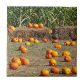 Pumpkins, Mais und Hay Herbst Erntefotografie Fliese (Vorderseite)