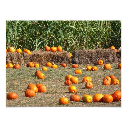 Pumpkins, Mais und Hay Herbst Erntefotografie Fotodruck (Vorne)
