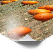 Pumpkins, Mais und Hay Herbst Erntefotografie Fotodruck (Ecke)