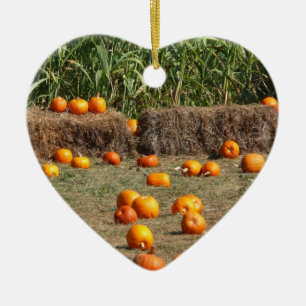 Pumpkins, Mais und Hay Herbst Erntefotografie Keramik Ornament
