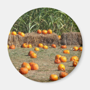 Pumpkins, Mais und Hay Herbst Erntefotografie Magnet