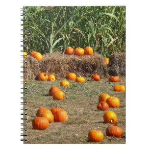 Pumpkins, Mais und Hay Herbst Erntefotografie Notizblock