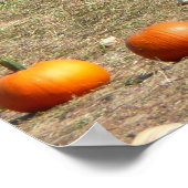Pumpkins, Mais und Hay Herbst Erntefotografie Poster (Ecke)