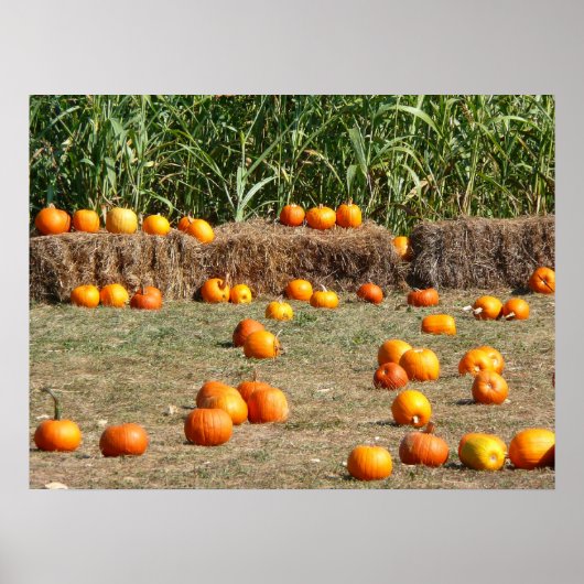 Pumpkins, Mais und Hay Herbst Erntefotografie Poster (Vorne)