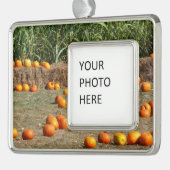 Pumpkins, Mais und Hay Herbst Erntefotografie Rahmen-Ornament Silber (Links)