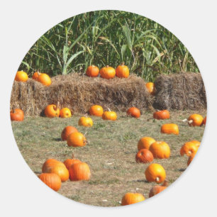 Pumpkins, Mais und Hay Herbst Erntefotografie Runder Aufkleber