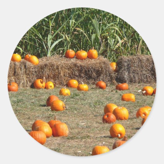 Pumpkins, Mais und Hay Herbst Erntefotografie Runder Aufkleber (Vorderseite)