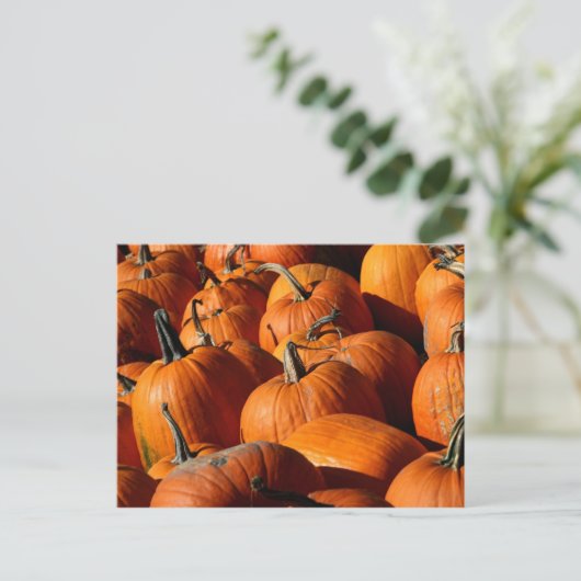 Pumpkins Postcard Postkarte (Stehend Vorderseite)