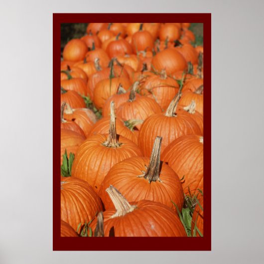 PUMPKINS! POSTER (Vorne)