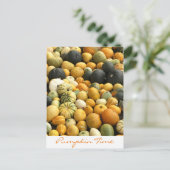 Pumpkins Postkarte (Stehend Vorderseite)