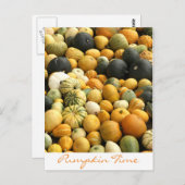 Pumpkins Postkarte (Vorne/Hinten)