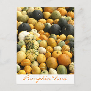 Pumpkins Postkarte