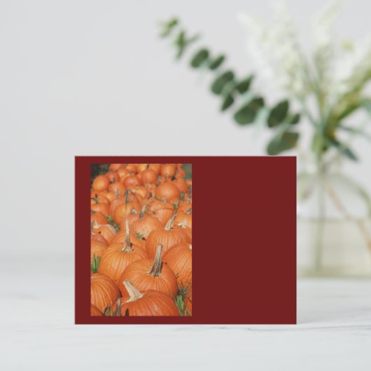 PUMPKINS! POSTKARTE (Stehend Vorderseite)