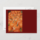 PUMPKINS! POSTKARTE (Vorne/Hinten)