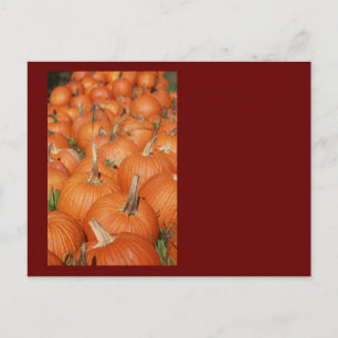 PUMPKINS! POSTKARTE