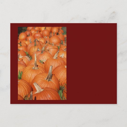 PUMPKINS! POSTKARTE (Vorderseite)