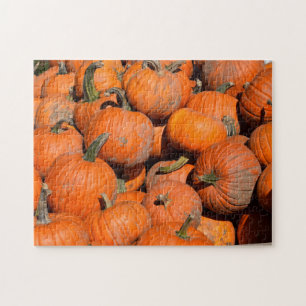 Pumpkins, Pumpkins, Pumpkins - 11x14 - 252 Stk. Puzzle
