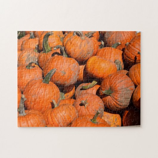Pumpkins, Pumpkins, Pumpkins - 11x14 - 252 Stk. Puzzle (Horizontal)