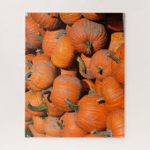 Pumpkins, Pumpkins, Pumpkins - 16x20 - 520 Stk. Puzzle (Vertikal)
