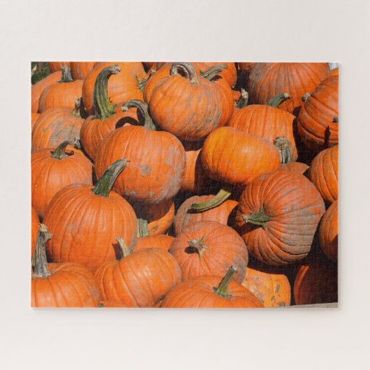 Pumpkins, Pumpkins, Pumpkins - 16x20 - 520 Stk. Puzzle (Horizontal)