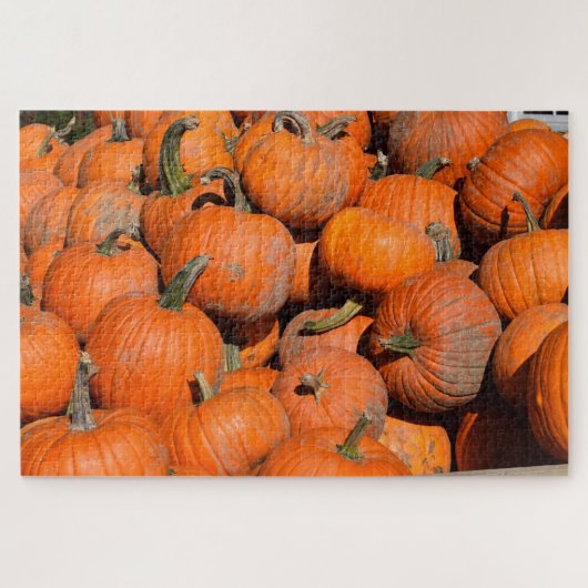 Pumpkins, Pumpkins, Pumpkins - 20x30 - 1014 Stk. Puzzle (Horizontal)