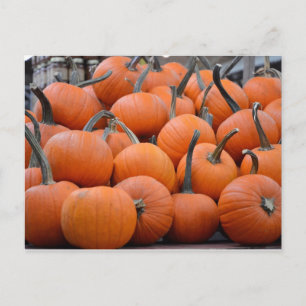 Pumpkins, Pumpkins und weitere Pumpkins, Fall Postkarte