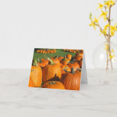 Pumpkins Roca Berry Farm card 4 Karte (Gelbe Blume)